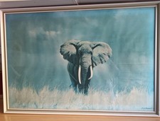 david shepherd limited edition signed print