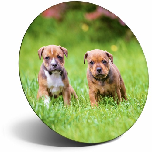 Awesome fridge magnet - fridge,