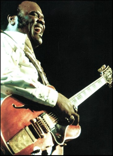 Freddie king onstage circa - freddie,