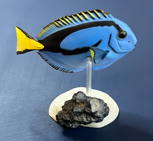 Japanese yujin saltwater fish - yujin,