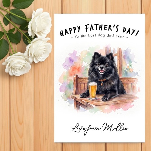Pomeranian black father - pomeranian, father’s