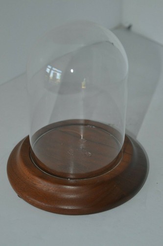 Small glass wood base dome - wood,