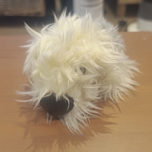 Original the dog - dog, magazine