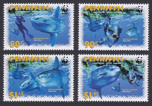 Ocean sunfish penrhyn 2003 - ocean,