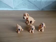 Animal Hospital Magic Pet