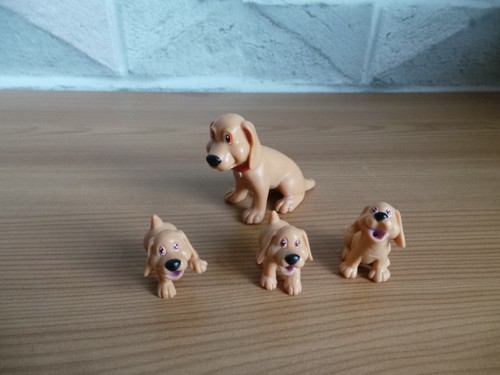 Animal hospital magic pet - animal,