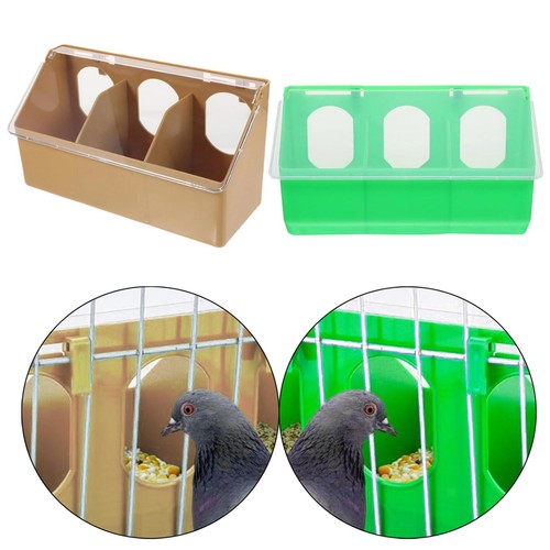 Pigeon feeder bird - pigeon,