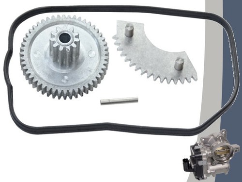 Throttle body repair gear set - throttle,