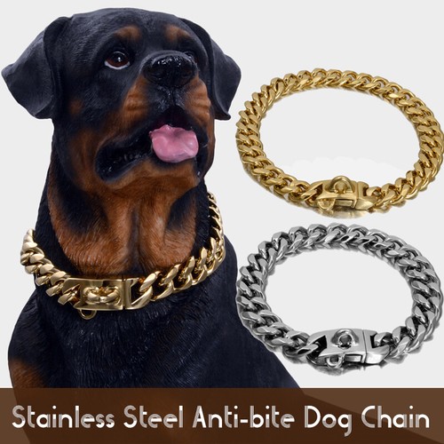 Pet cat dog - gold, sliver