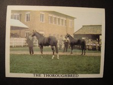 SCARCE ANGLO CONFECTIONARY