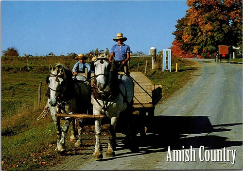 Amish boys horse drawn farm - horse,