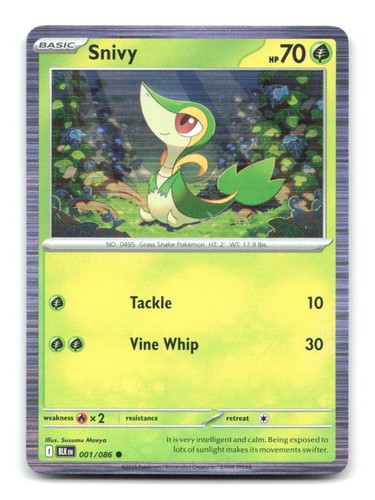 Snivy unova poster - snivy,