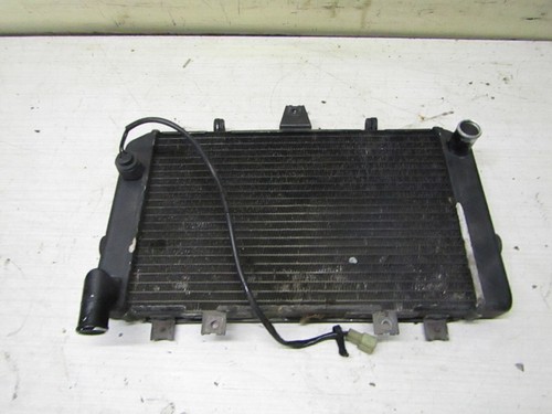 Cooling radiator kawasaki - radiator, zrx