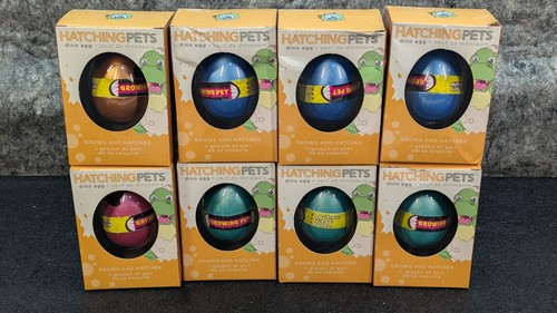 Lot dinosaur eggs - of,