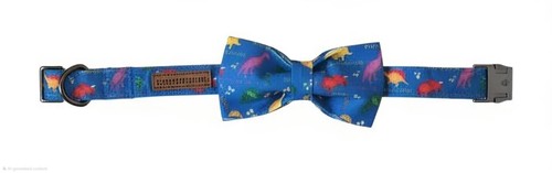 Elegant little tail dinosaur - little,