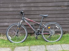 Adult bikes claud - adult,