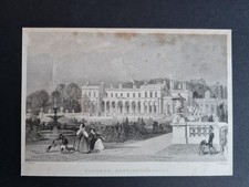 Antique 1836 print Clumber -