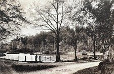 1909 Godalming Witley