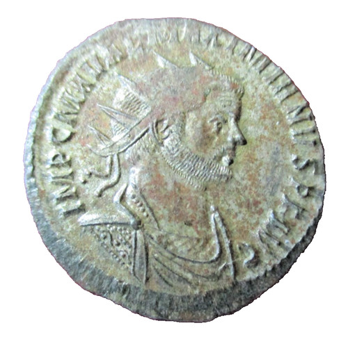 Maximianus - , ad)