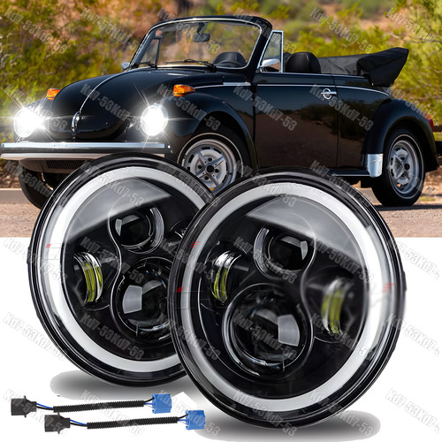 For 1950 1979 - 1950-1979, beetle
