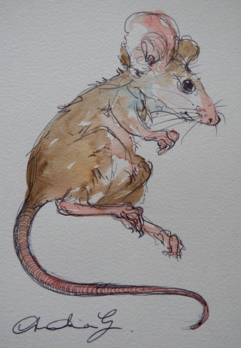 Watercolour painting mouse
