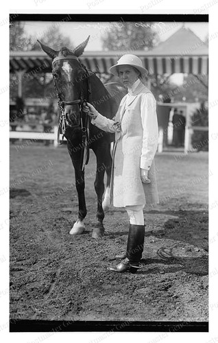 Scriven miss catherine horse - catherine,