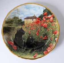 Davenport Black Cat Poppies