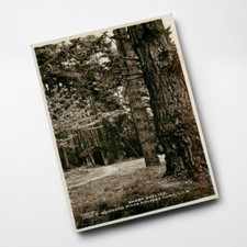 A3 PRINT - Vintage Isle of Wight - Shady Shelter Gurnard Pines Holiday Camp