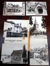 Dame Zandra Rhodes 6 pen and