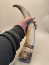 GENUINE BUFFALO HORN JEWELRY