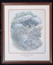 Signed Vintage Signed Framed Print ~ Richard Orr ~ Female Lynx With Her Kittens