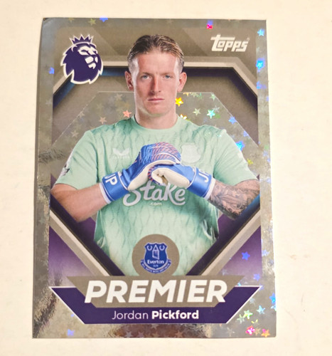 Panini premier league stickers - league,