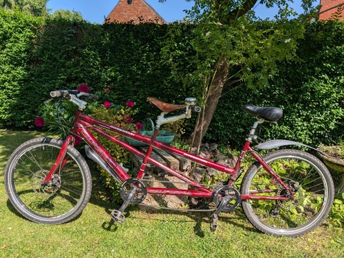 Tandem bike barracuda - tandem,