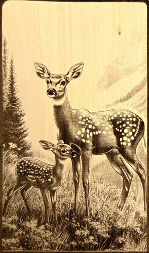 Laser engraved wooded plaque - laser-engraved,