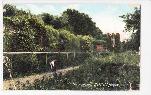 Hatfield house the - house,
