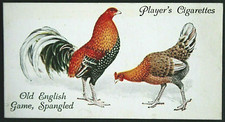 OLD ENGLISH GAME  SPANGLED