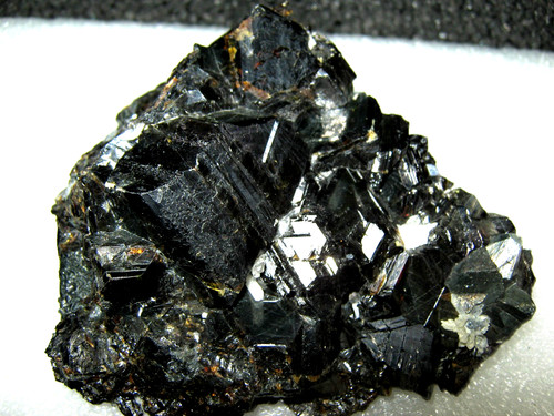 Huge rare black shiny - black,