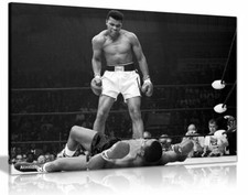 Muhammad Ali Canvas Knock Out