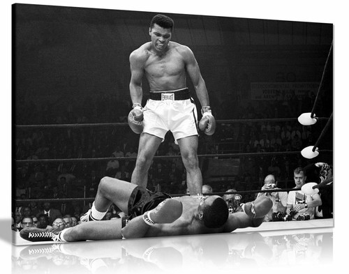 Muhammad ali canvas knock - ali,