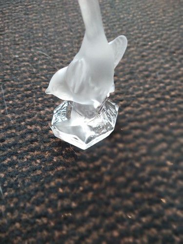 Nachtmann crystal wren