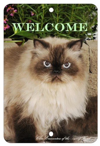 Himalayan cat aluminum - himalayan,