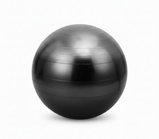 Gym Ball 65cm Anti-Burst Yoga