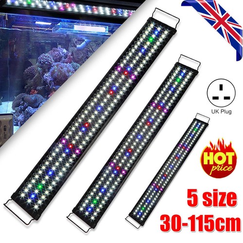 New aquarium fish - tank, led