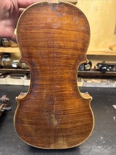 Baroque Ungrafted Original