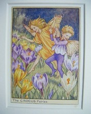 Vtg Flower Fairies Print &