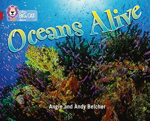 Oceans alive band ruby - band, 14/ruby
