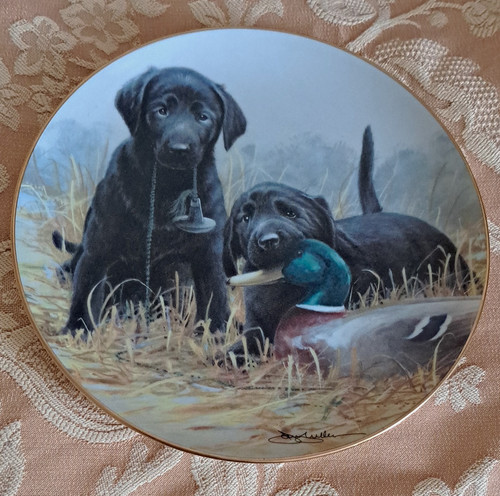 Franklin mint heirloom - mint,