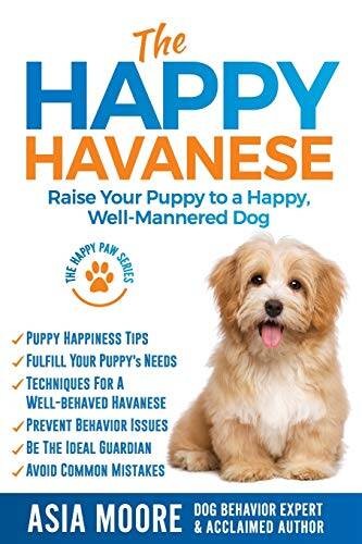 The happy havanese raise your - happy,