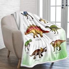 WONGS BEDDING Dinosaur Fleece