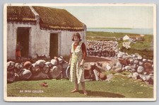 Irish Colleen Thatched Cottage